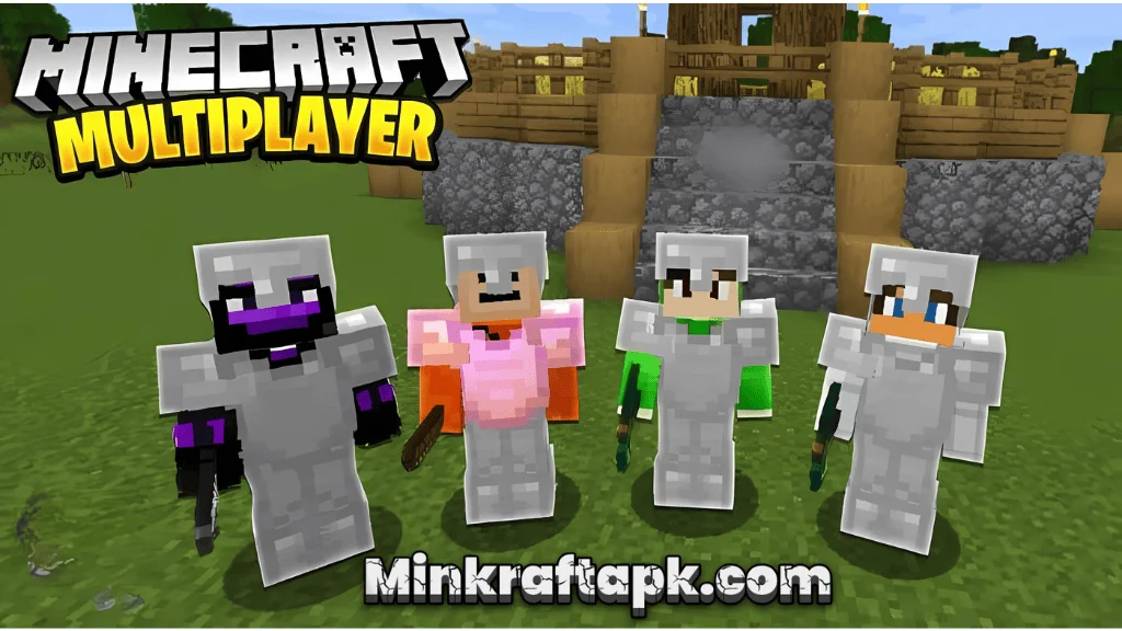 Multiplayer Option Minecaft