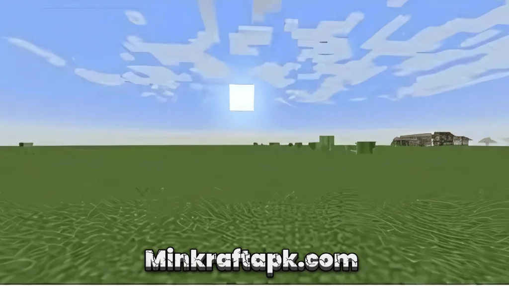 Flat World