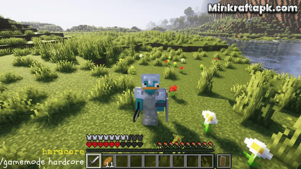Hardcore Mode of Minecraft